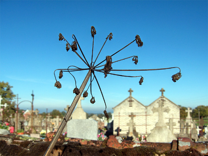 Crevant - Berry - 2005 © Daniel Schipper